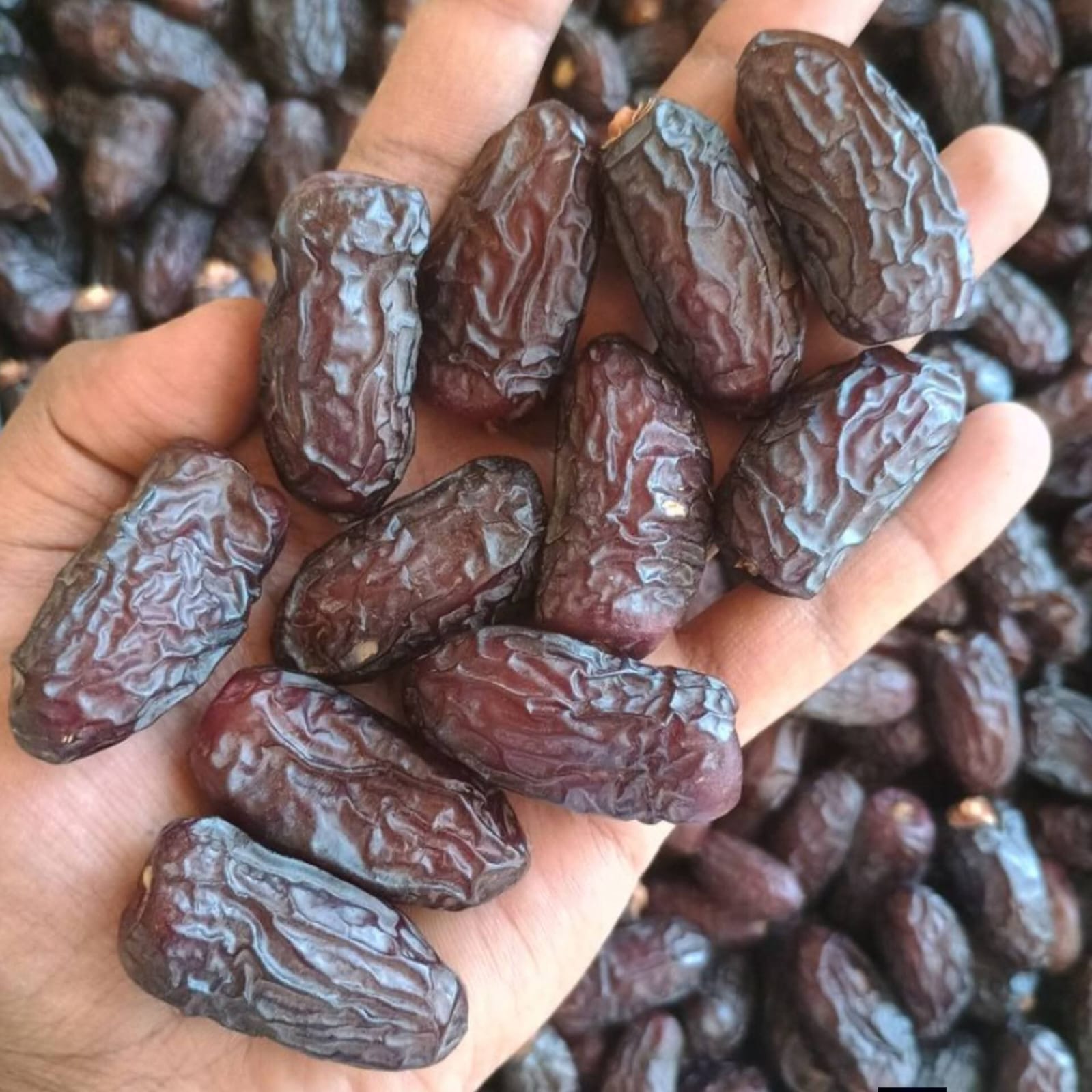 Dates(খেঁজুর )